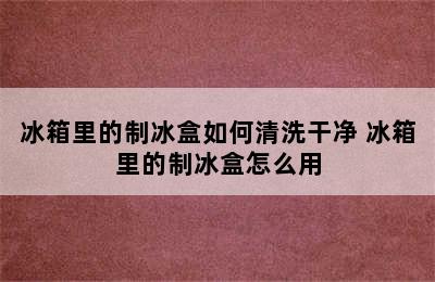 冰箱里的制冰盒如何清洗干净 冰箱里的制冰盒怎么用